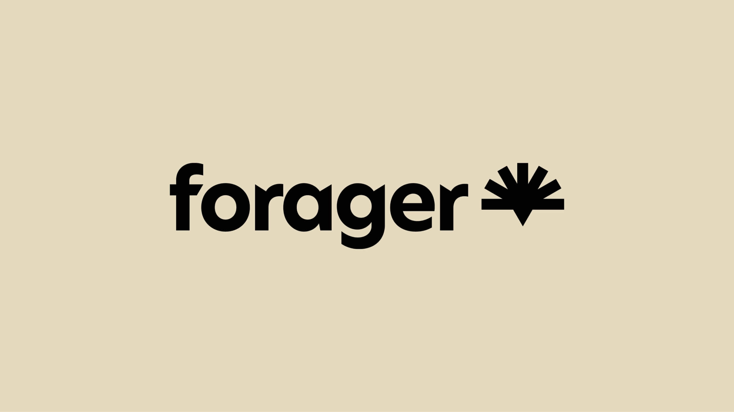 Case Study: Brand Identity Creation for Eco-Friendly Brand, Forager